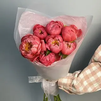 Букет из 7 пионов Coral Sunset