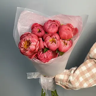 Букет из 7 пионов Coral Sunset