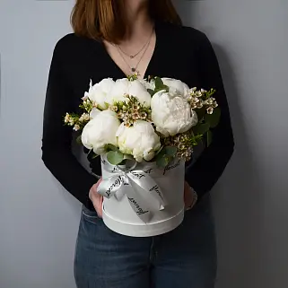 Букет в шляпной коробке из 7 белых пионов и ваксфлауэра