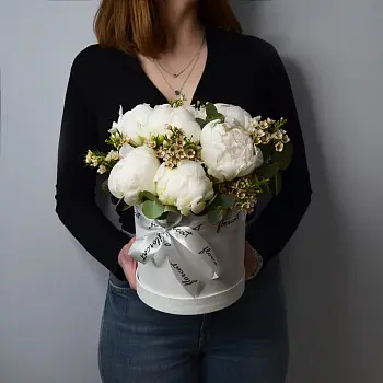 Букет в шляпной коробке из 7 белых пионов и ваксфлауэра