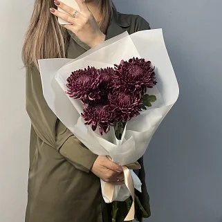 Букет из 5 хризантем Bigoudi