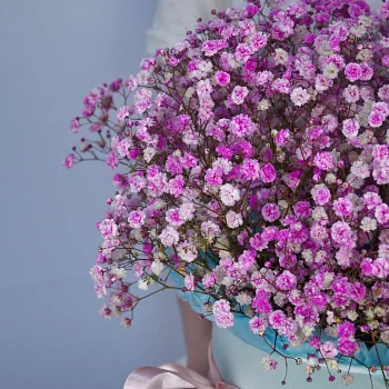 Букет в шляпной коробке из гипсофилы