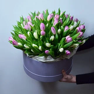 Букет из 101 тюльпана в шляпной коробке