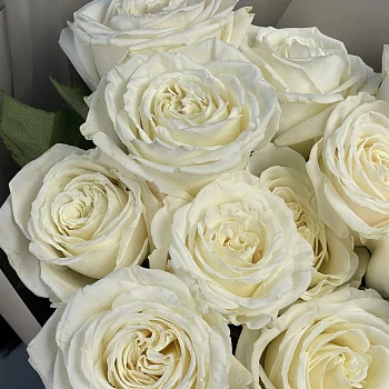 Букет из 11 белых роз Playa Blanca