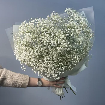 Букет из 9 веточек гипсофилы