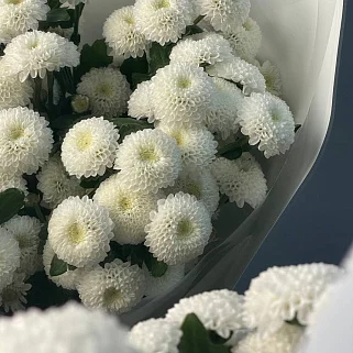 Букет из 9 кустовых хризантем Coconut