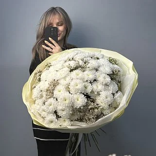 Букет из 15 хризантем Baltica и ваксфлауэра