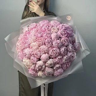 Букет из 51 розового пиона