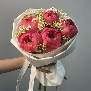 Букет из 5 пионов Coral Sunset и матрикарии