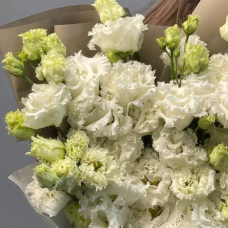 Букет из 11 белых эустом