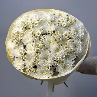 Дуо-букет хризантем Baltica и матрикарии S