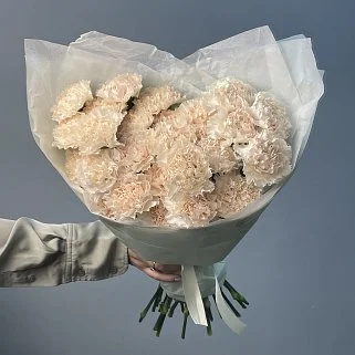 Букет из 25 персиковых гвоздик