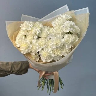 Букет из 25 белых гвоздик