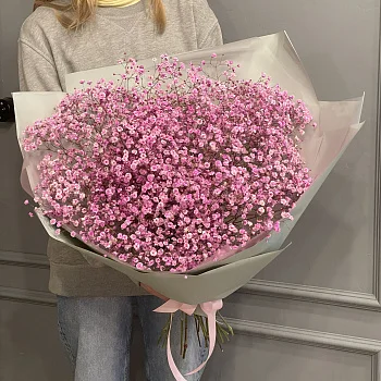 Букет из 15 веточек розовой гипсофилы