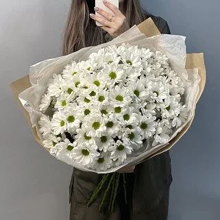 Букет из 15 белых кустовых хризантем Bacardi