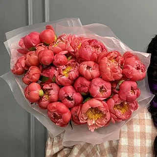 Букет из 25 пионов Coral Sunset