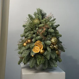 Золотая ёлочка