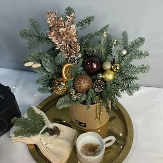 Зимняя композиция Брауни М