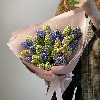 Букет из 25 гиацинтов (микс)