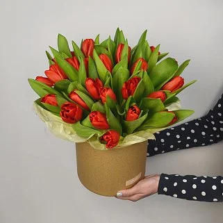 Букет из 25 красных тюльпанов в шляпной коробке