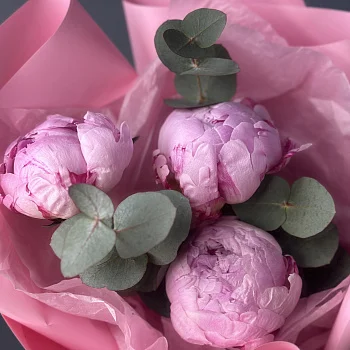 Букет из 3 розовых пионов и эвкалипта
