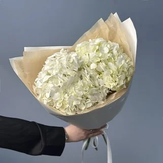 Букет из 3 белых гортензий