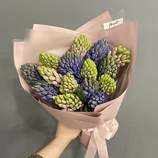 Букет из 15 гиацинтов (микс)