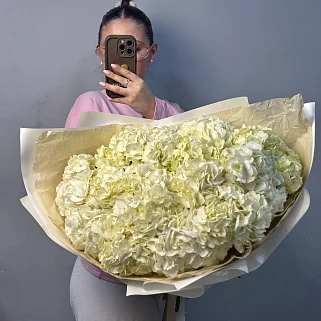 Букет из 15 белых гортензий