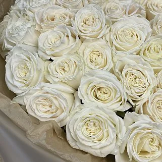 Букет из 51 белой розы Playa Blanca