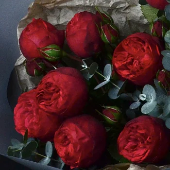 Букет пионовидных роз Red Piano и эвкалипта L