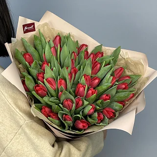 Букет из 51 красного тюльпана