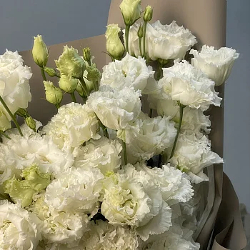 Букет из 9 белых эустом