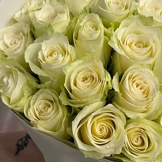 Букет 25 белых роз 50см (Кения)