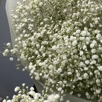 Букет из 9 веточек гипсофилы