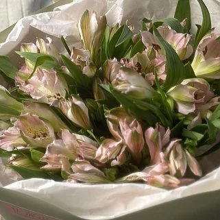 Букет из 7 розовых альстромерий