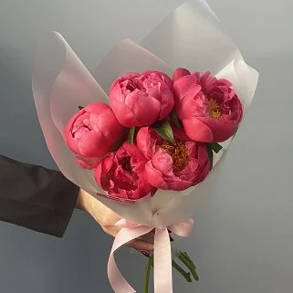 Букет из 5 пионов Coral Sunset