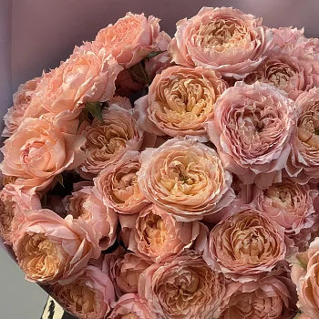 Букет из 15 кустовых пионовидных роз Juliet