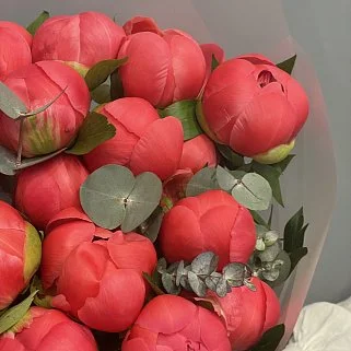 Букет из 35 пионов Coral Sunset и эвкалипта
