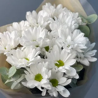 Букет из 3 кустовых хризантем Bacardi и эвкалипта