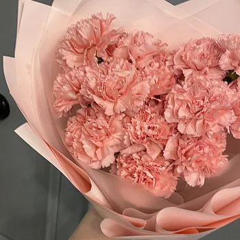 Букет из 15 розовых гвоздик