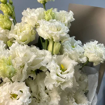 Букет из 7 белых эустом