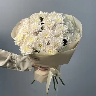 Букет из 9 кустовых хризантем Pastela Rose