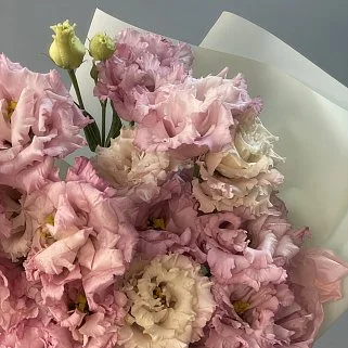 Букет из 9 розовых эустом