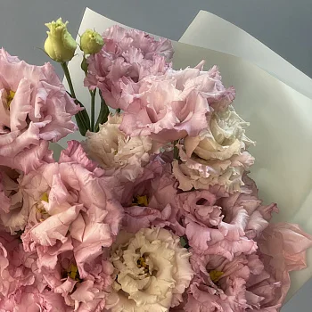 Букет из 9 розовых эустом