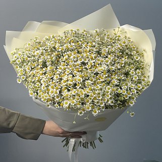 Букет ромашек XL