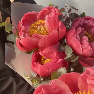 Букет из 3 пионов Coral Sunset и эвкалипта
