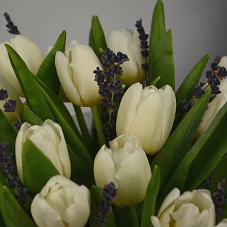 Букет в шляпной коробке из 15 белых тюльпанов с лавандой