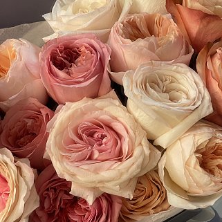 Букет пионовидных роз (микс)