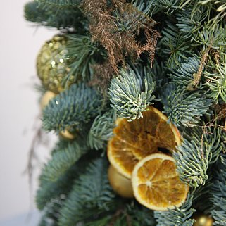 Золотая ёлочка