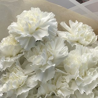 Букет из 15 белых гвоздик